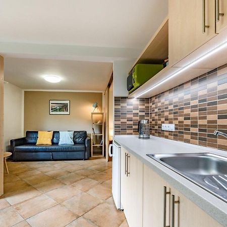 Apartment Vaclavov Decin Kültér fotó