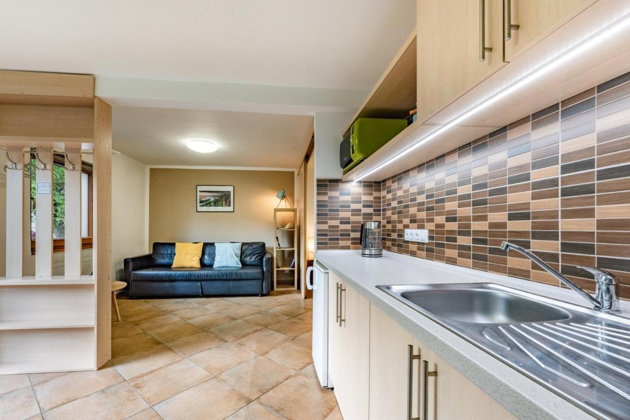 Apartment Vaclavov Decin Kültér fotó
