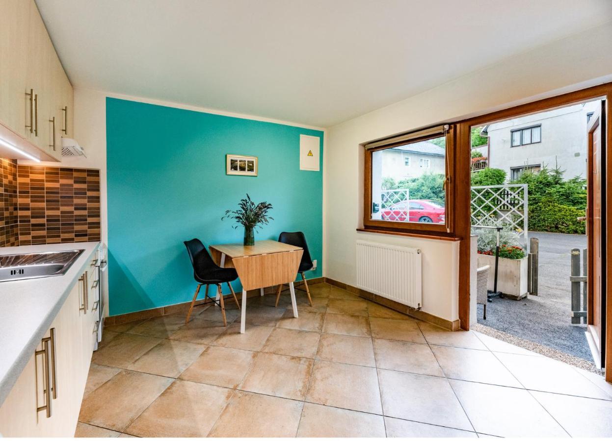 Apartment Vaclavov Decin Kültér fotó