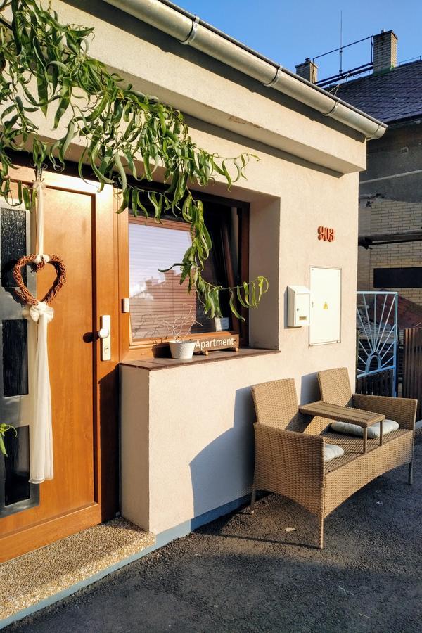 Apartment Vaclavov Decin Kültér fotó